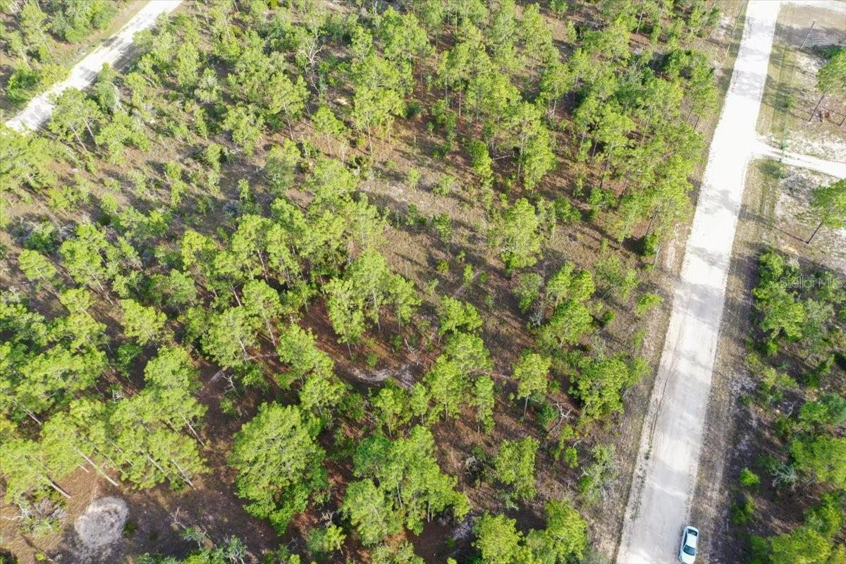 0000 NE 131 LOT 8 TER, WILLISTON, FL — photo 2