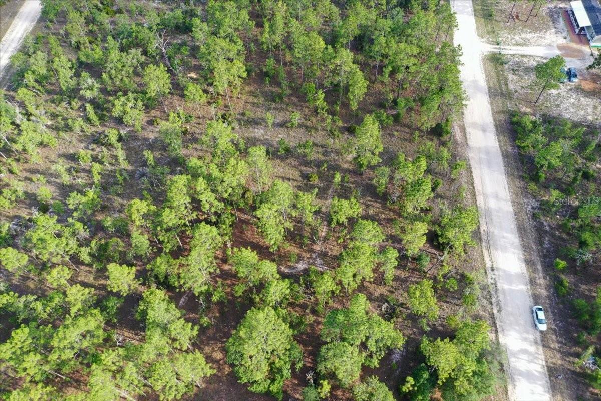0000 NE 131 LOT 8 TER, WILLISTON, FL — photo 3