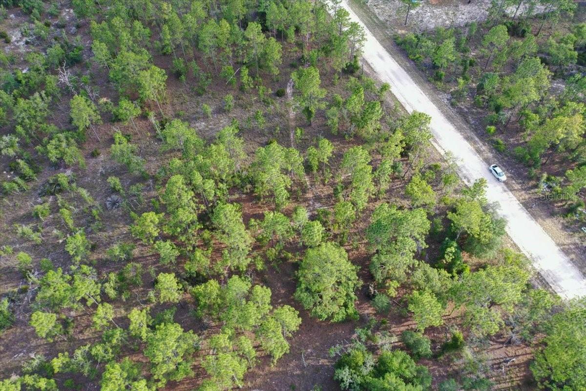 0000 NE 131 LOT 8 TER, WILLISTON, FL — photo 4
