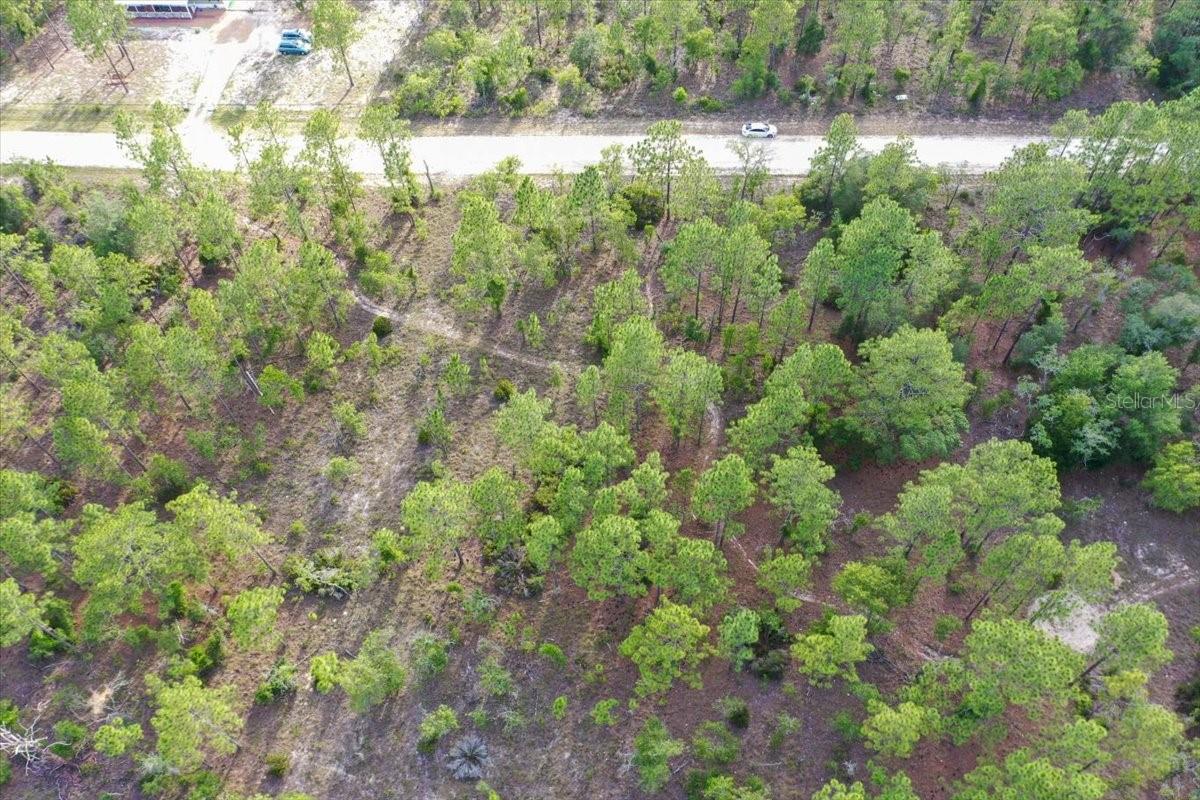 0000 NE 131 LOT 8 TER, WILLISTON, FL — photo 5