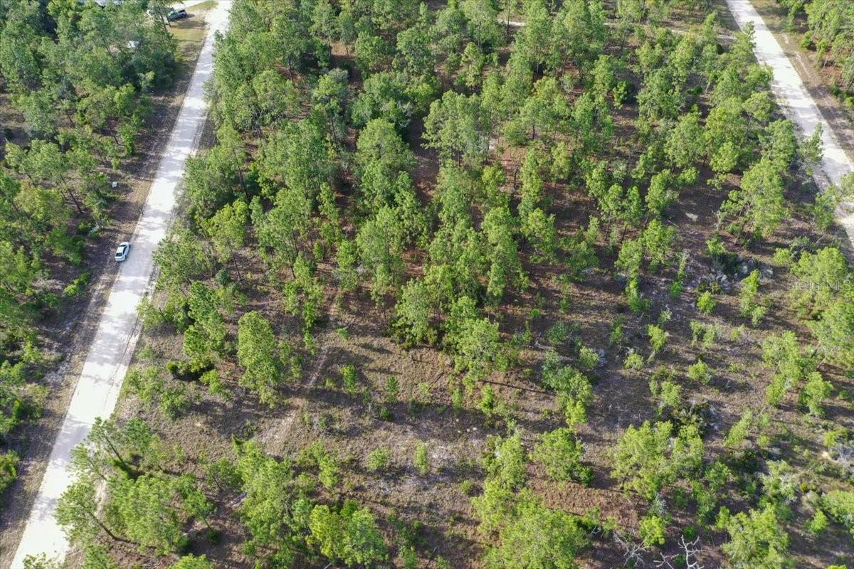 0000 NE 131 LOT 8 TER, WILLISTON, FL — photo 6
