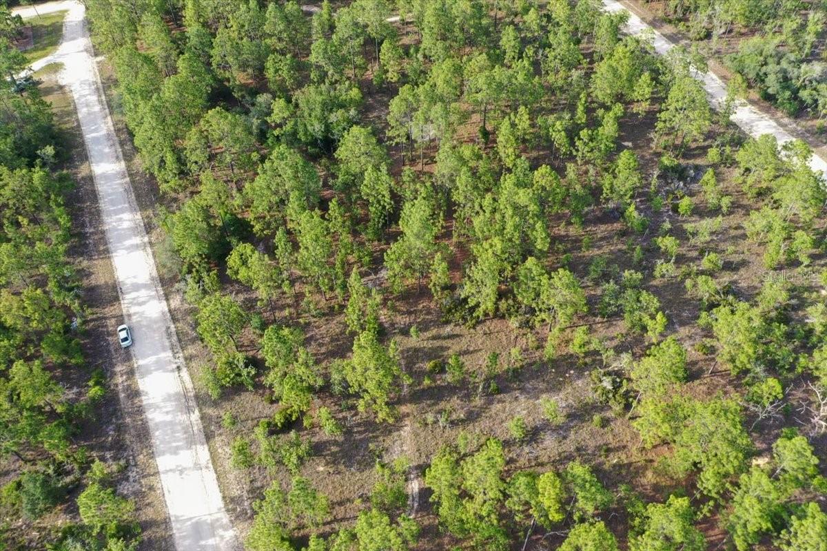 0000 NE 131 LOT 8 TER, WILLISTON, FL — photo 7