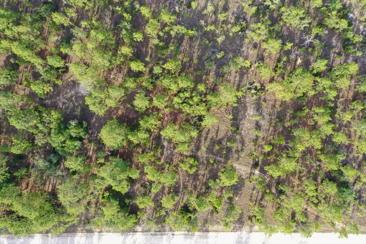 0000 NE 131 LOT 8 TER, WILLISTON, FL — photo 8
