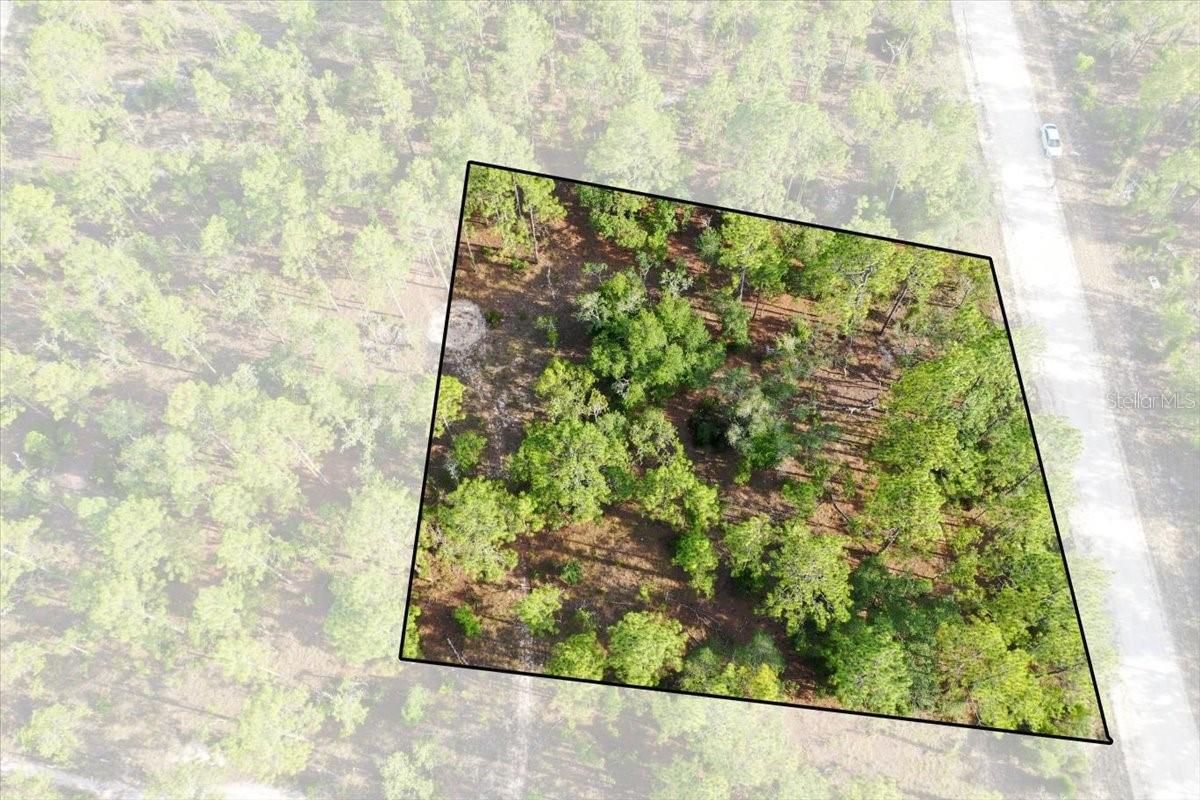 0000 NE 131 LOT 9 TER, WILLISTON, FL
