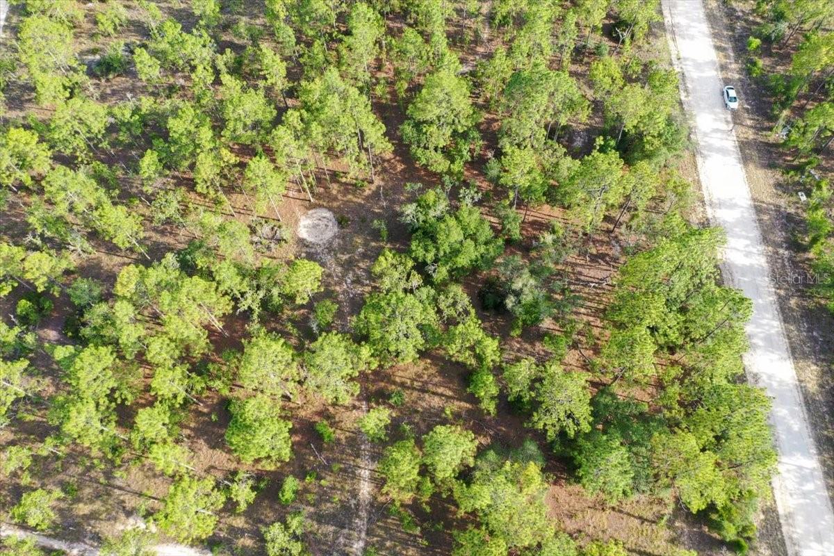 0000 NE 131 LOT 9 TER, WILLISTON, FL — photo 2