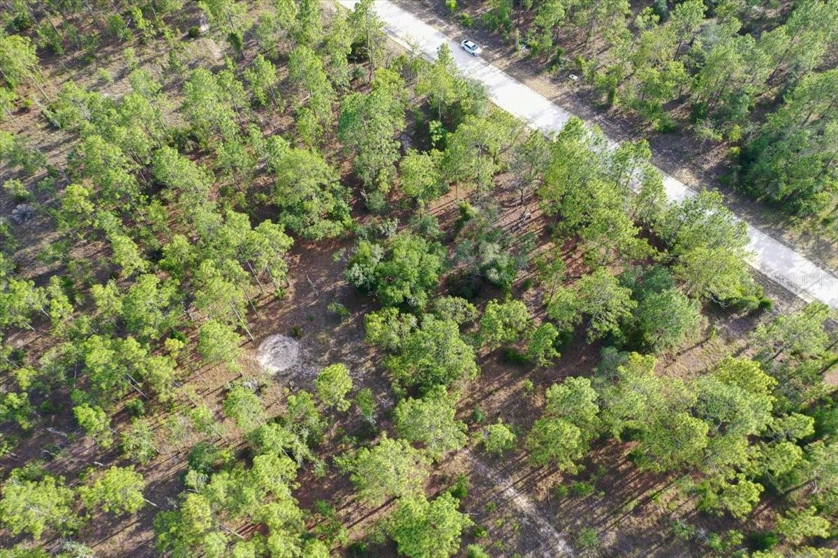 0000 NE 131 LOT 9 TER, WILLISTON, FL — photo 3