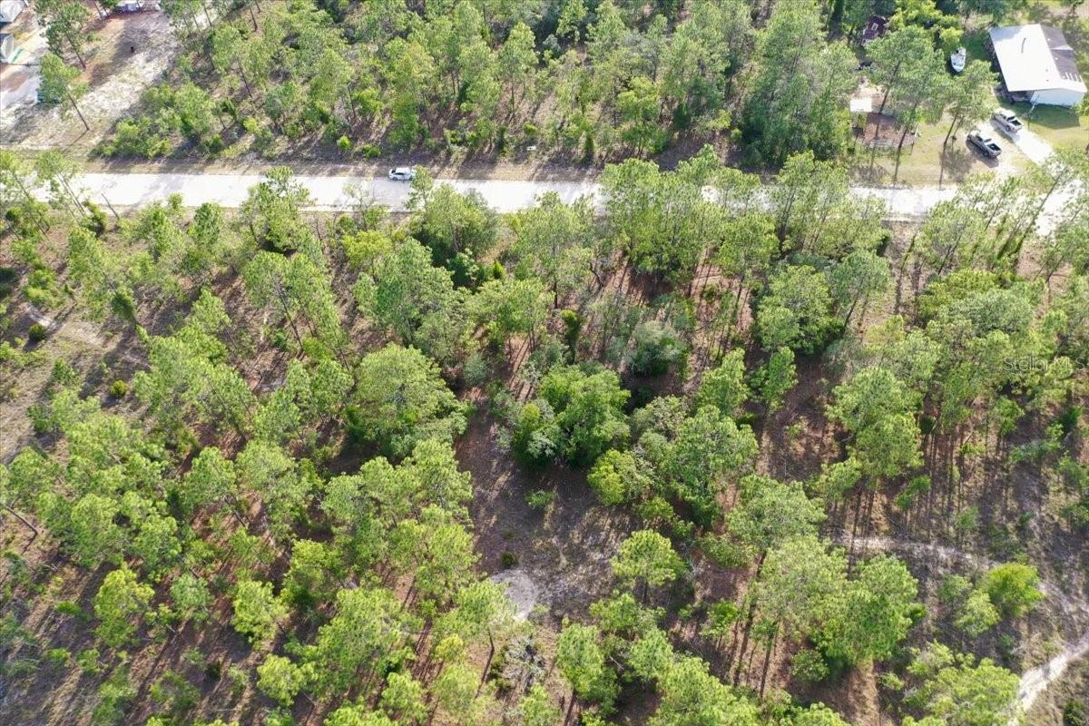 0000 NE 131 LOT 9 TER, WILLISTON, FL — photo 4