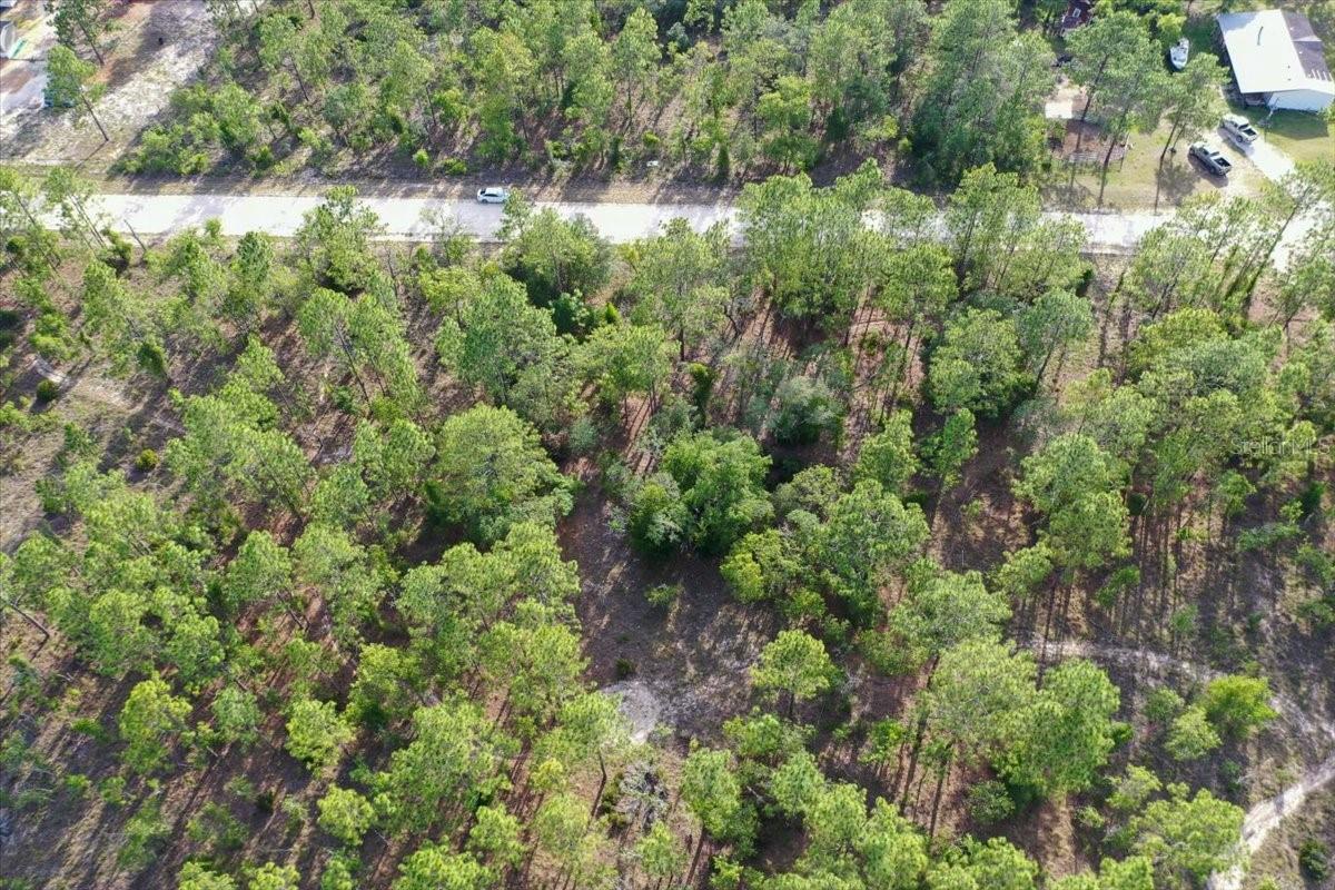 0000 NE 131 LOT 9 TER, WILLISTON, FL — photo 5