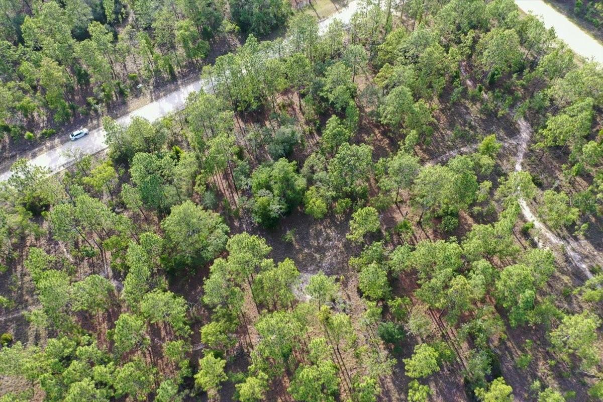0000 NE 131 LOT 9 TER, WILLISTON, FL — photo 6