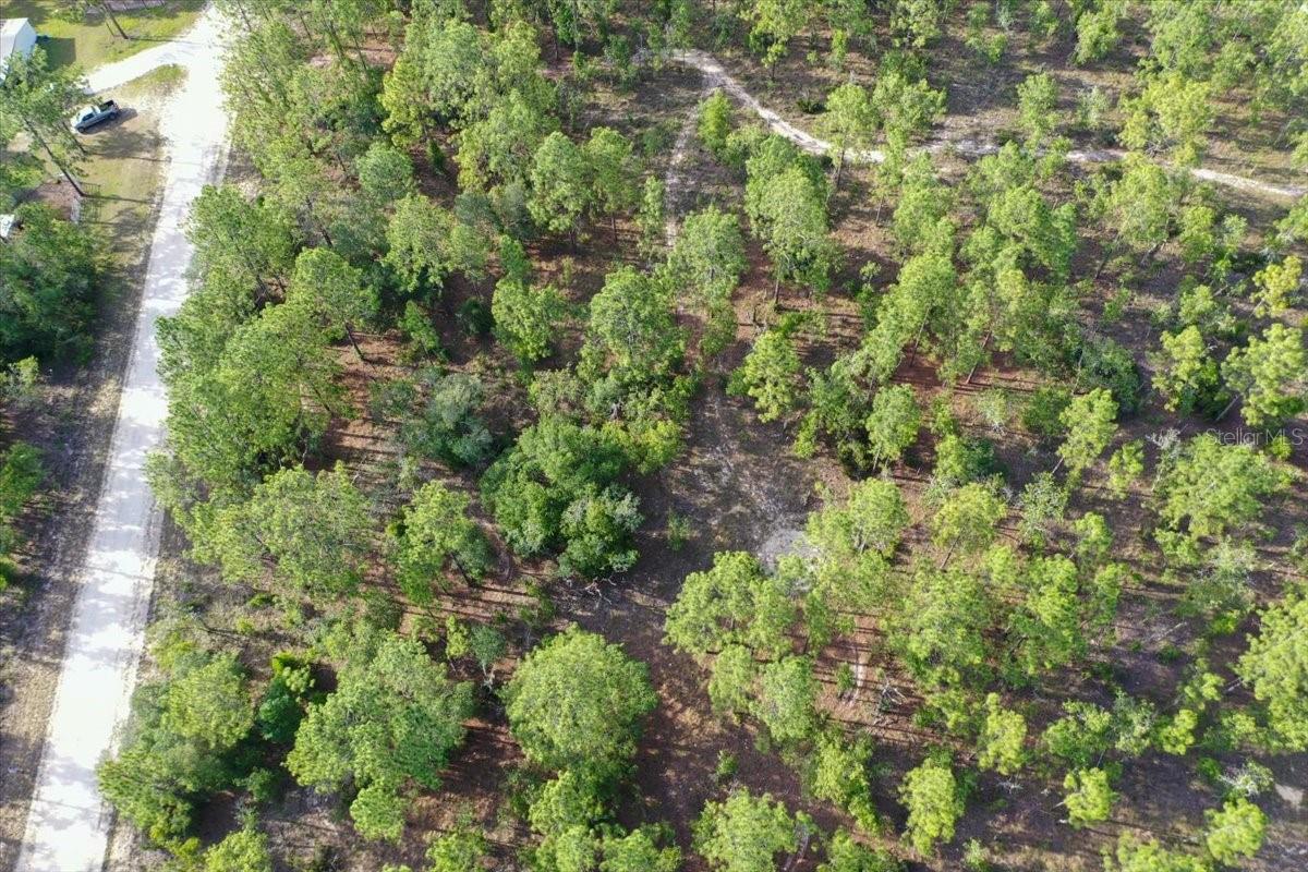 0000 NE 131 LOT 9 TER, WILLISTON, FL — photo 7