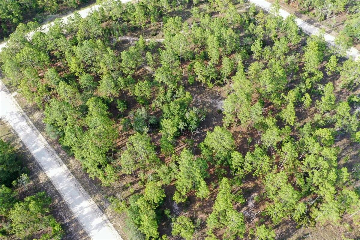 0000 NE 131 LOT 9 TER, WILLISTON, FL — photo 8