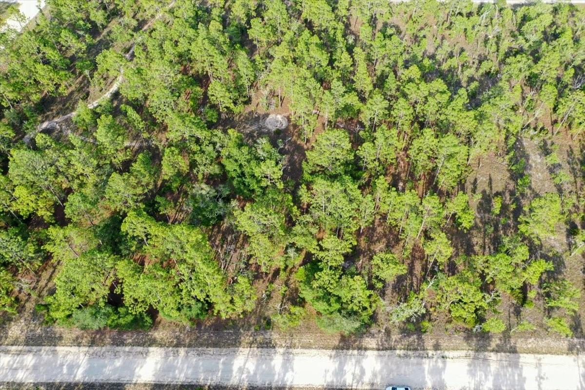 0000 NE 131 LOT 9 TER, WILLISTON, FL — photo 9