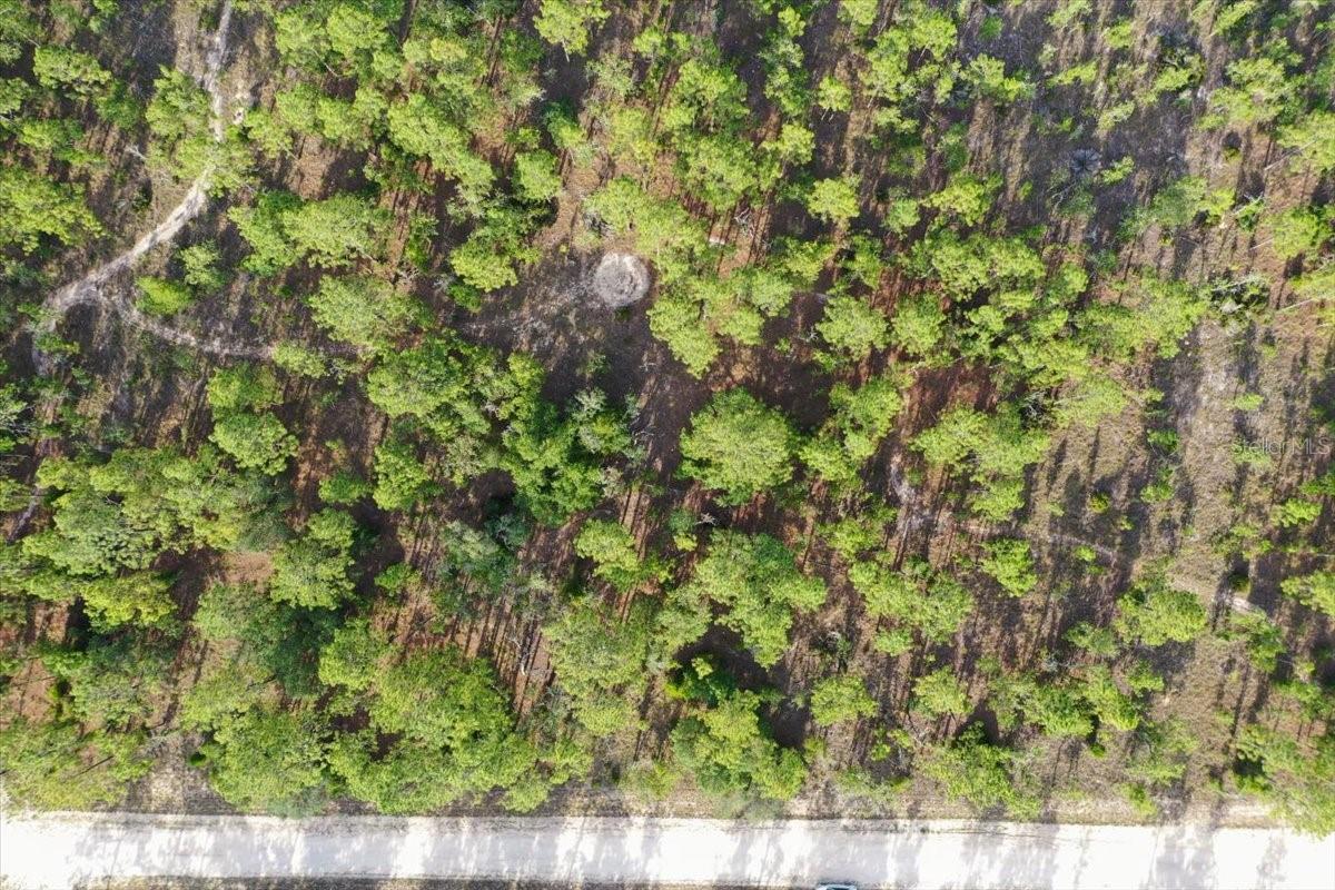 0000 NE 131 LOT 9 TER, WILLISTON, FL — photo 10
