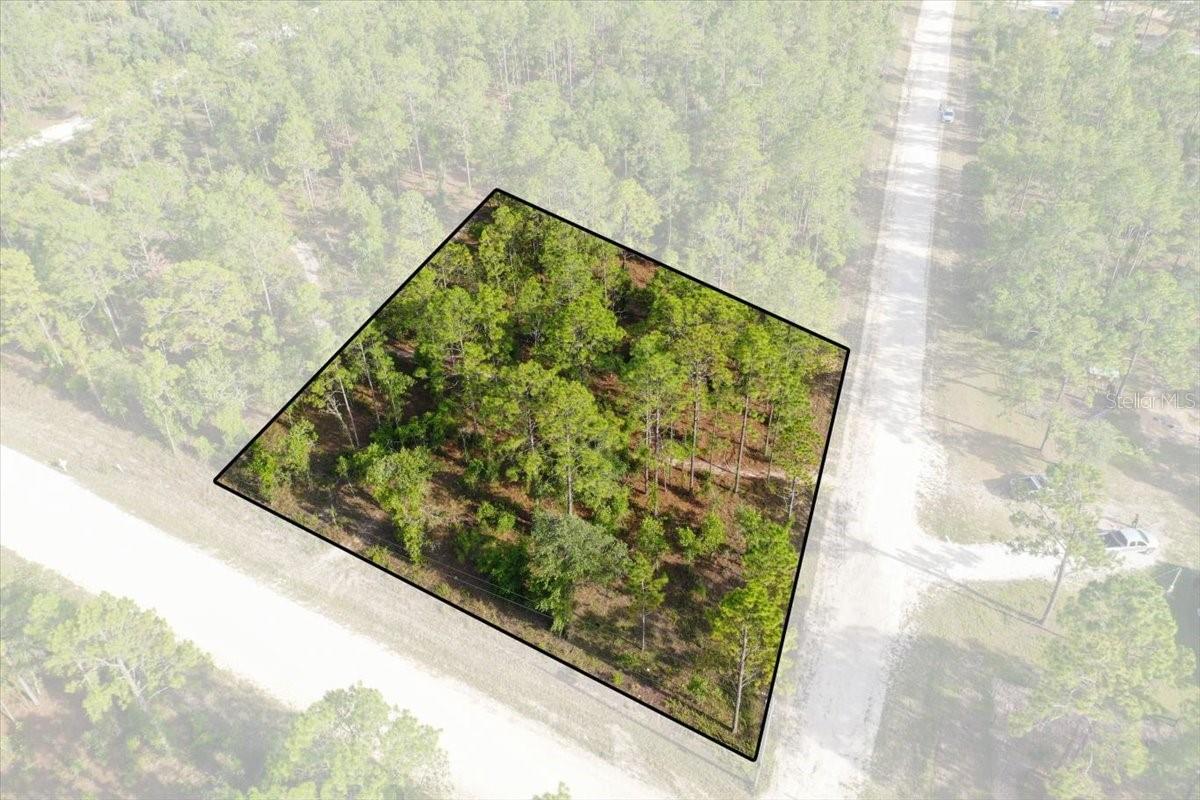 0000 NE 131 LOT 10 TER, WILLISTON, FL