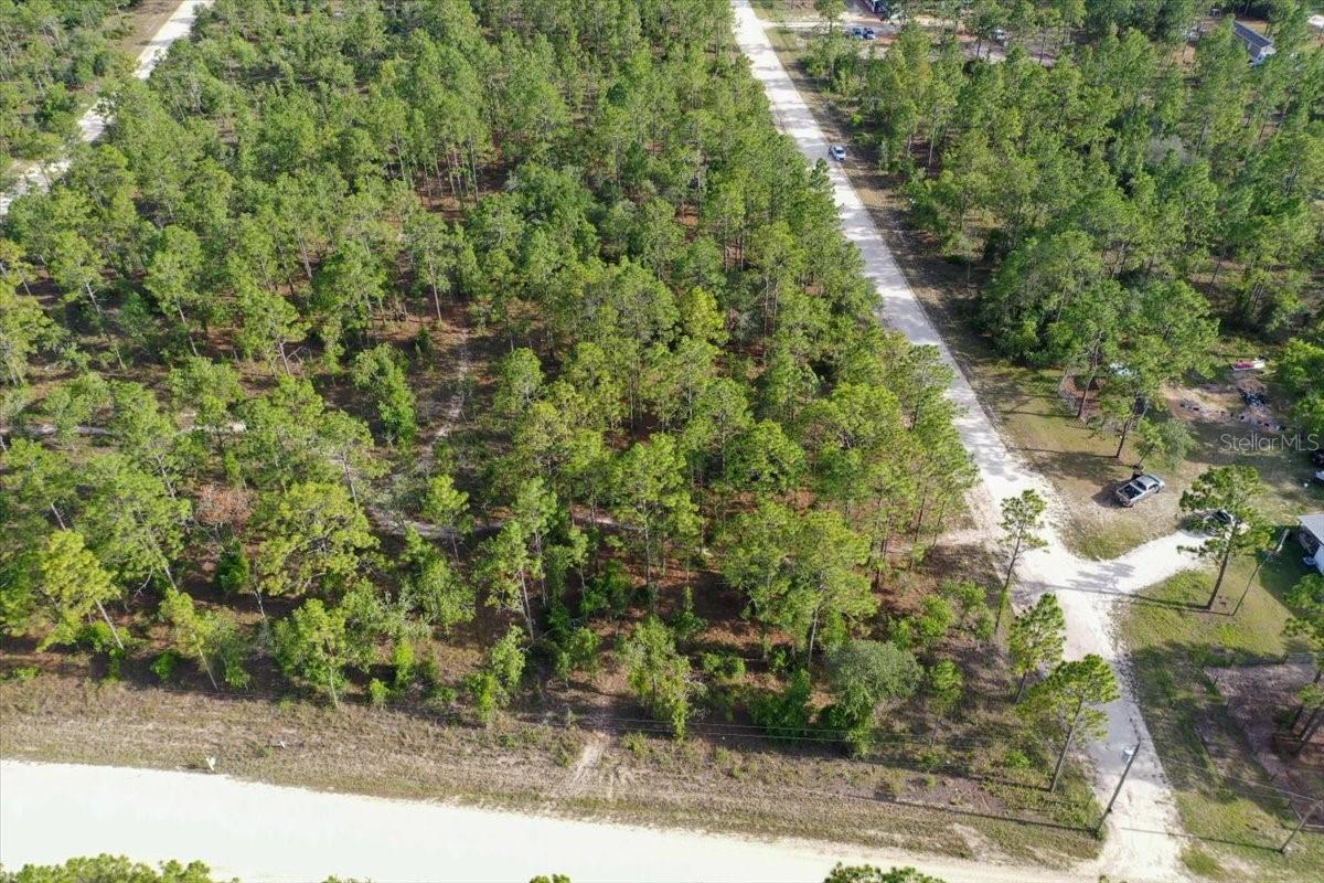 0000 NE 131 LOT 10 TER, WILLISTON, FL — photo 3