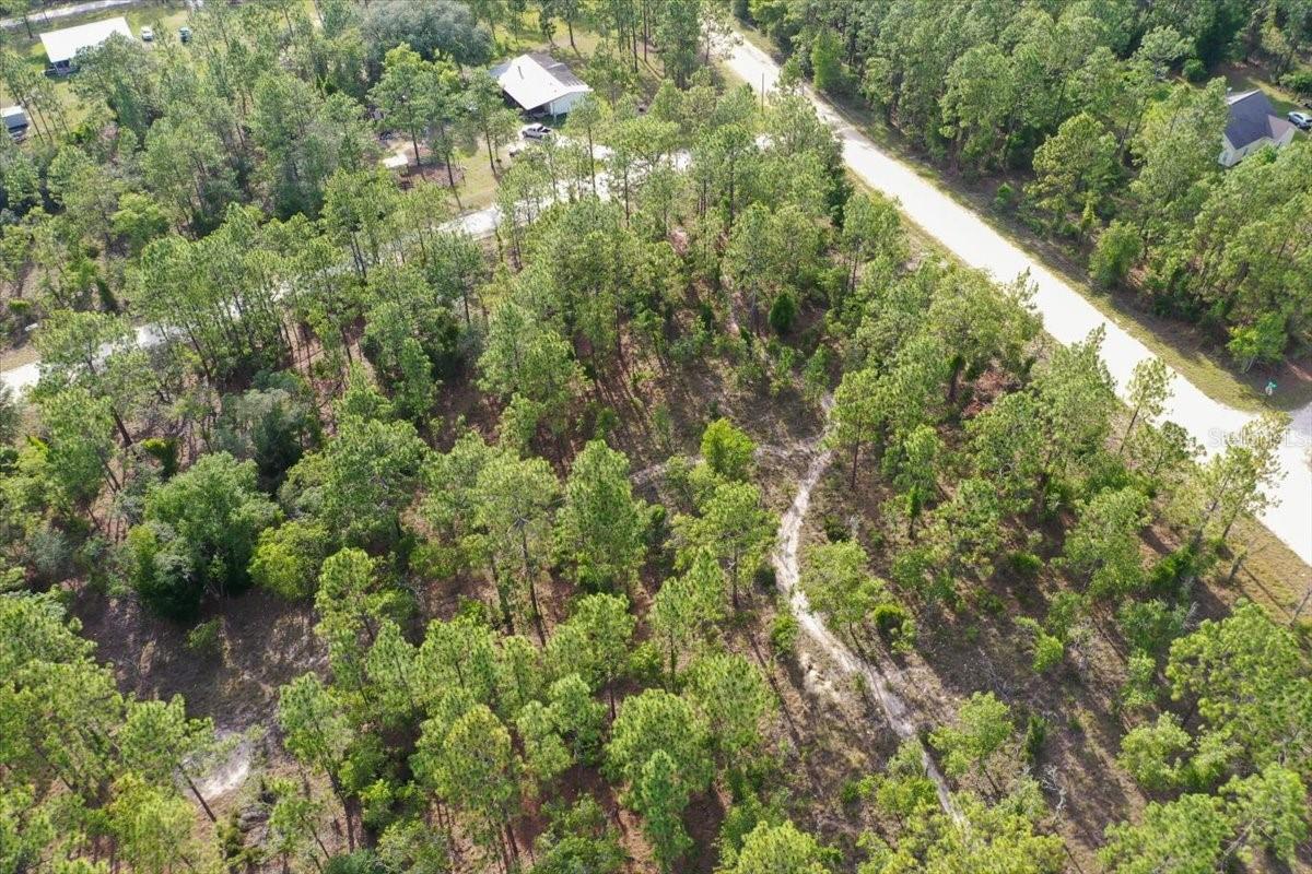 0000 NE 131 LOT 10 TER, WILLISTON, FL — photo 6