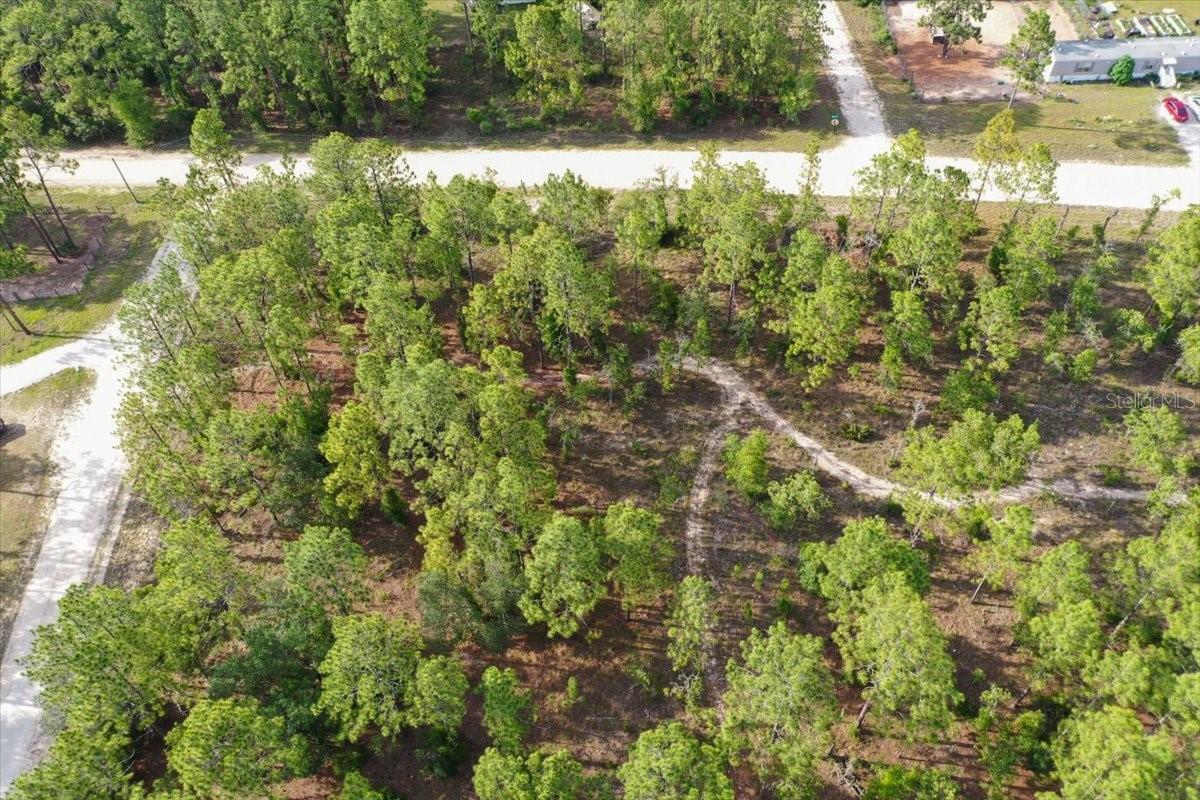 0000 NE 131 LOT 10 TER, WILLISTON, FL — photo 7