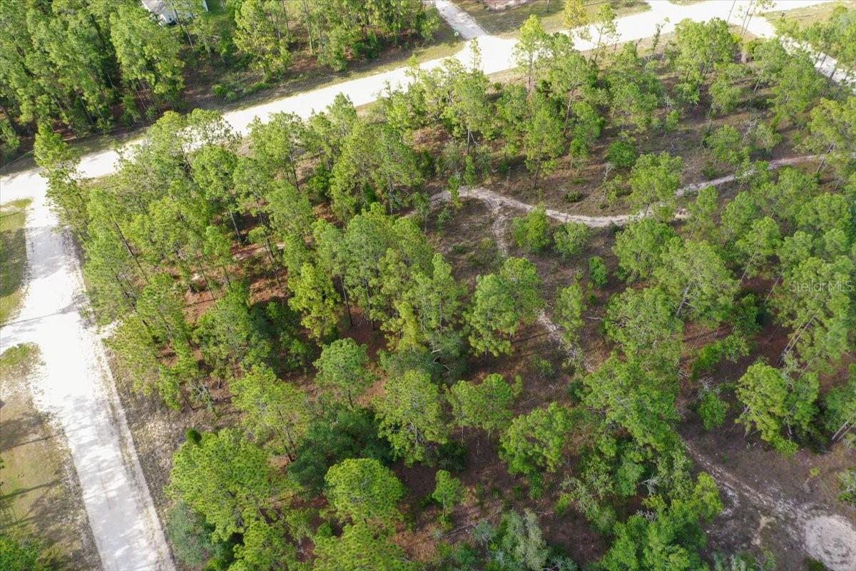 0000 NE 131 LOT 10 TER, WILLISTON, FL — photo 8