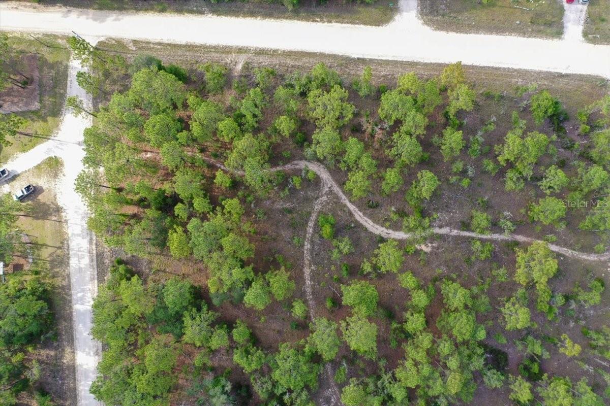 0000 NE 131 LOT 10 TER, WILLISTON, FL — photo 9