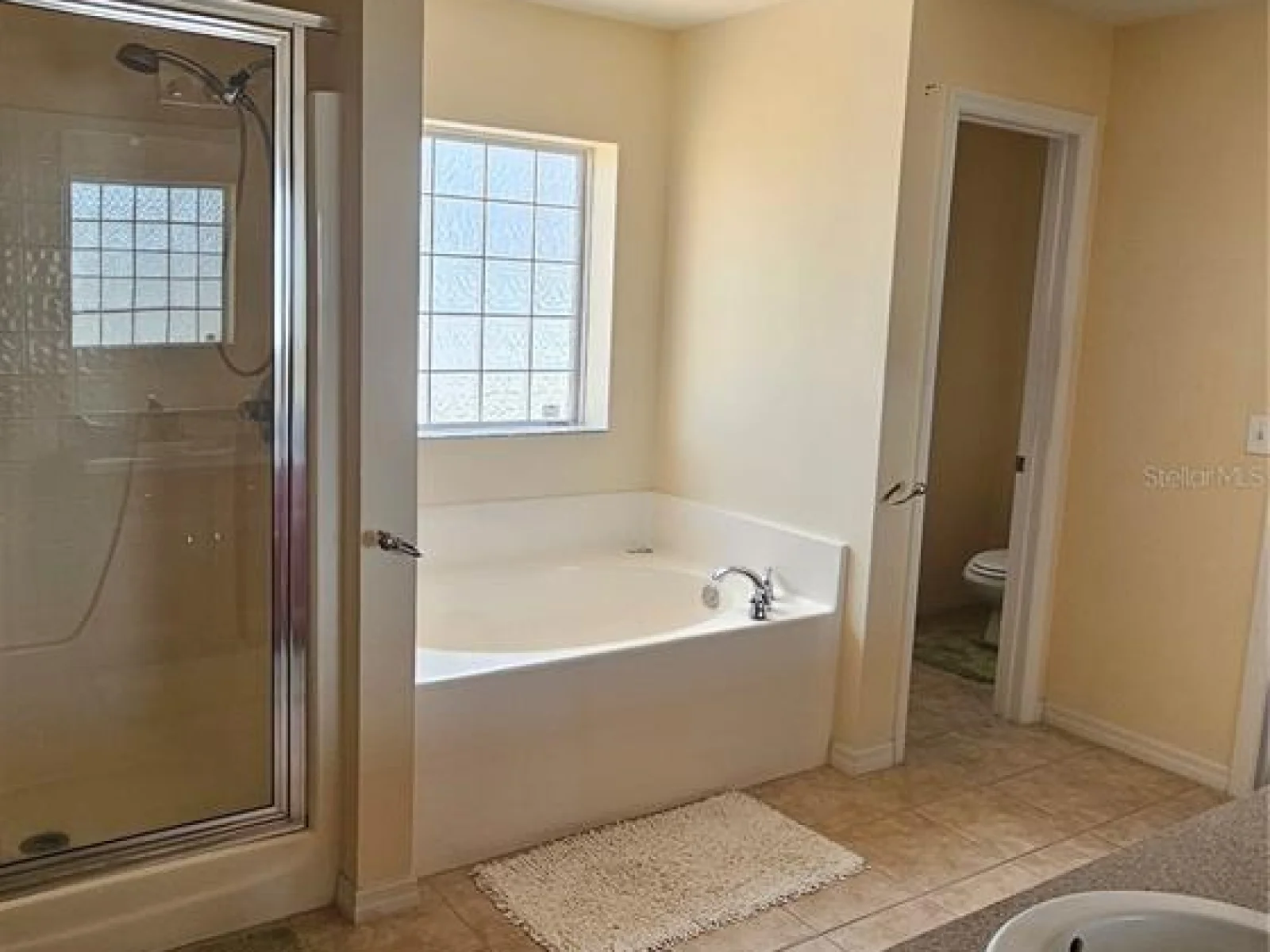 23705 MILFORD DR, EUSTIS, FL — photo 9