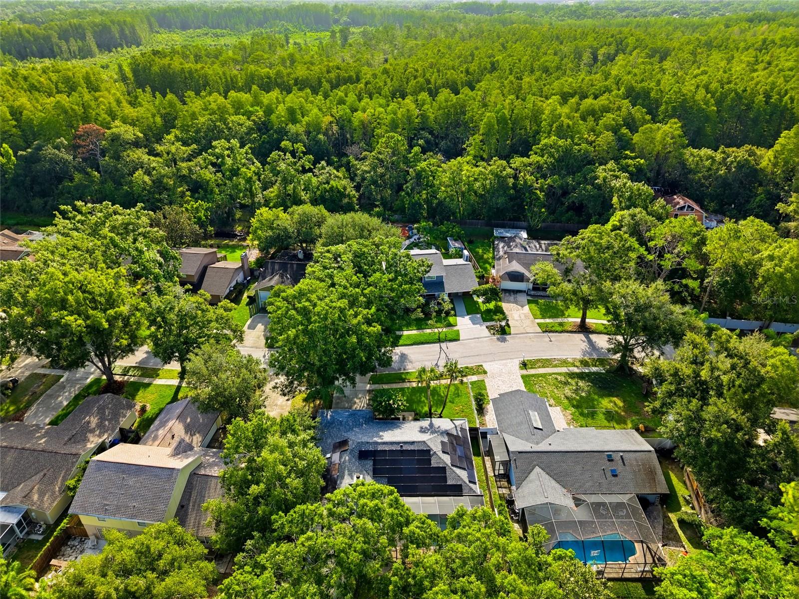 15908 HAMPTON VILLAGE DR, TAMPA, FL — photo 42