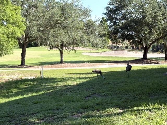 1425 EMERALD DUNES DR #17, SUN CITY CENTER, FL — photo 72