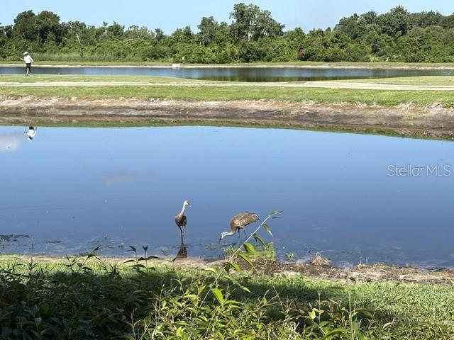 1425 EMERALD DUNES DR #17, SUN CITY CENTER, FL — photo 73