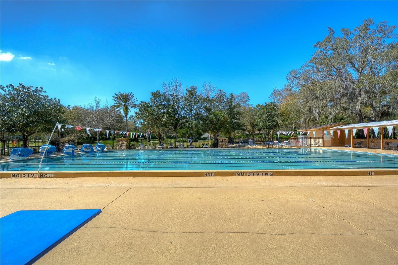 3530 FOX SQUIRREL LN, VALRICO, FL — photo 36