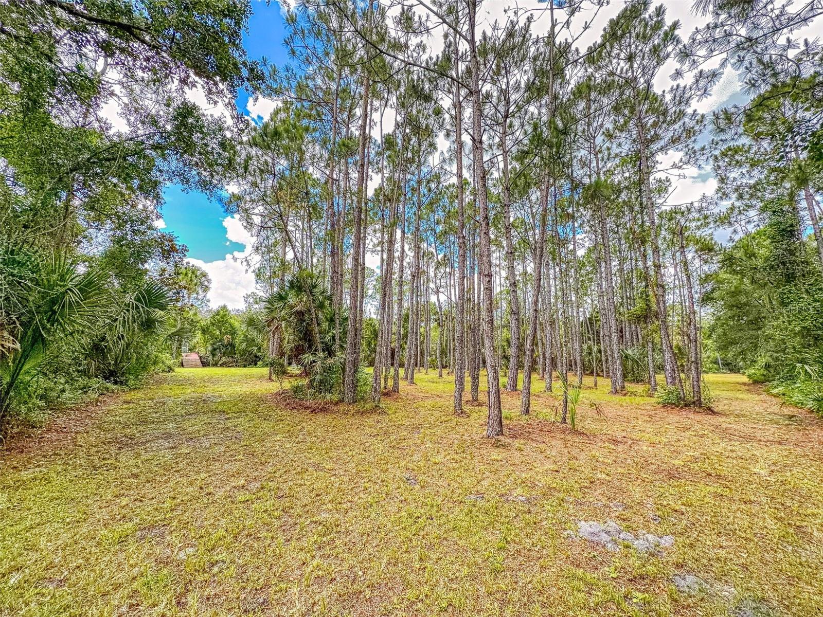 1205 WILLIAMS RD, NEW SMYRNA BEACH, FL — photo 67