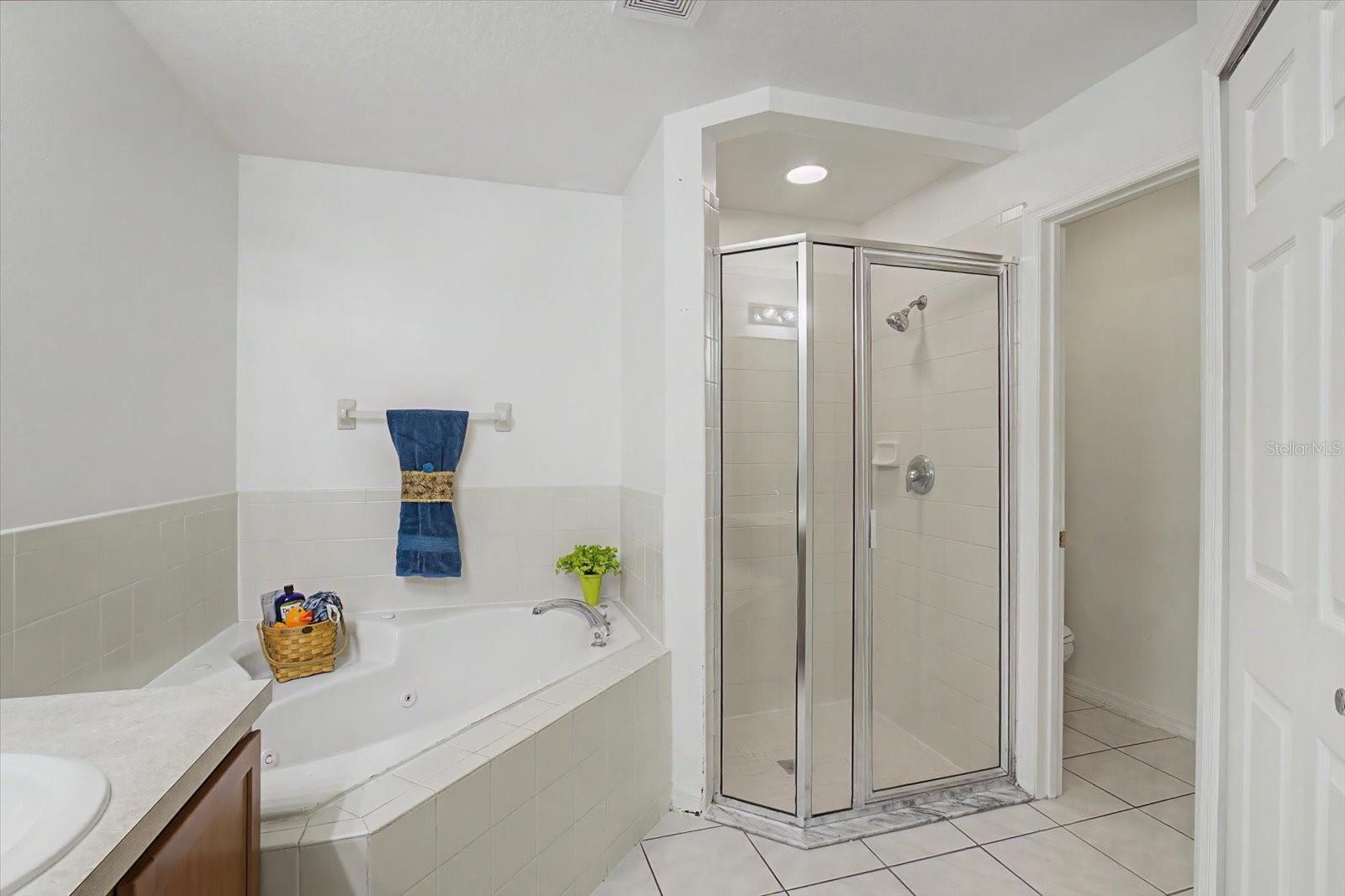 605 SWAN RANGE RD, ORANGE CITY, FL — photo 13