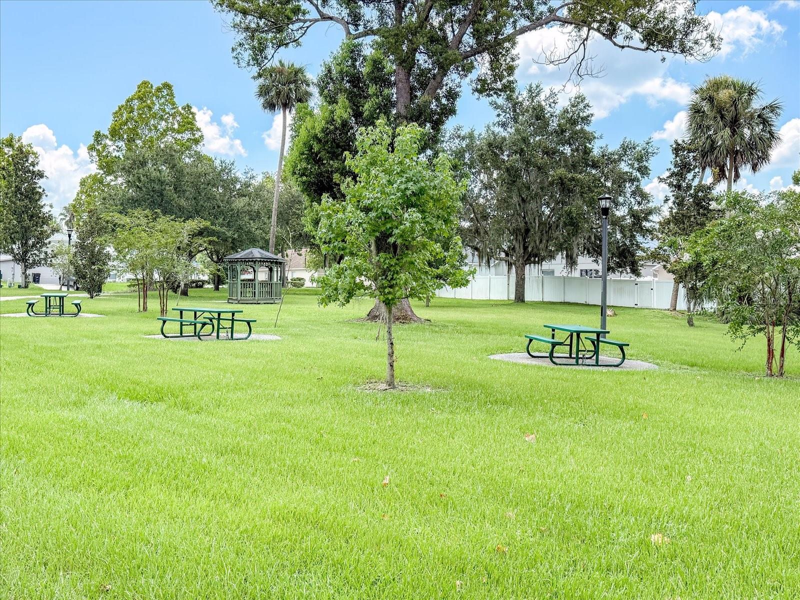 605 SWAN RANGE RD, ORANGE CITY, FL — photo 35
