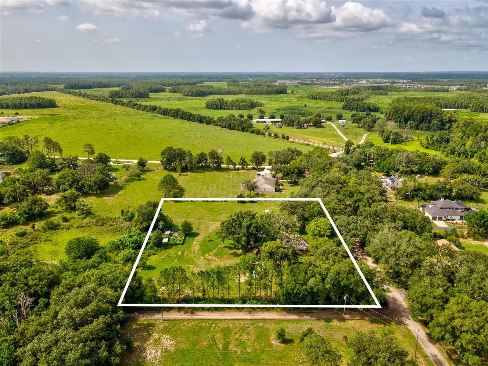 6548 LAKE IRENE DR, LAND O LAKES, FL — photo 3