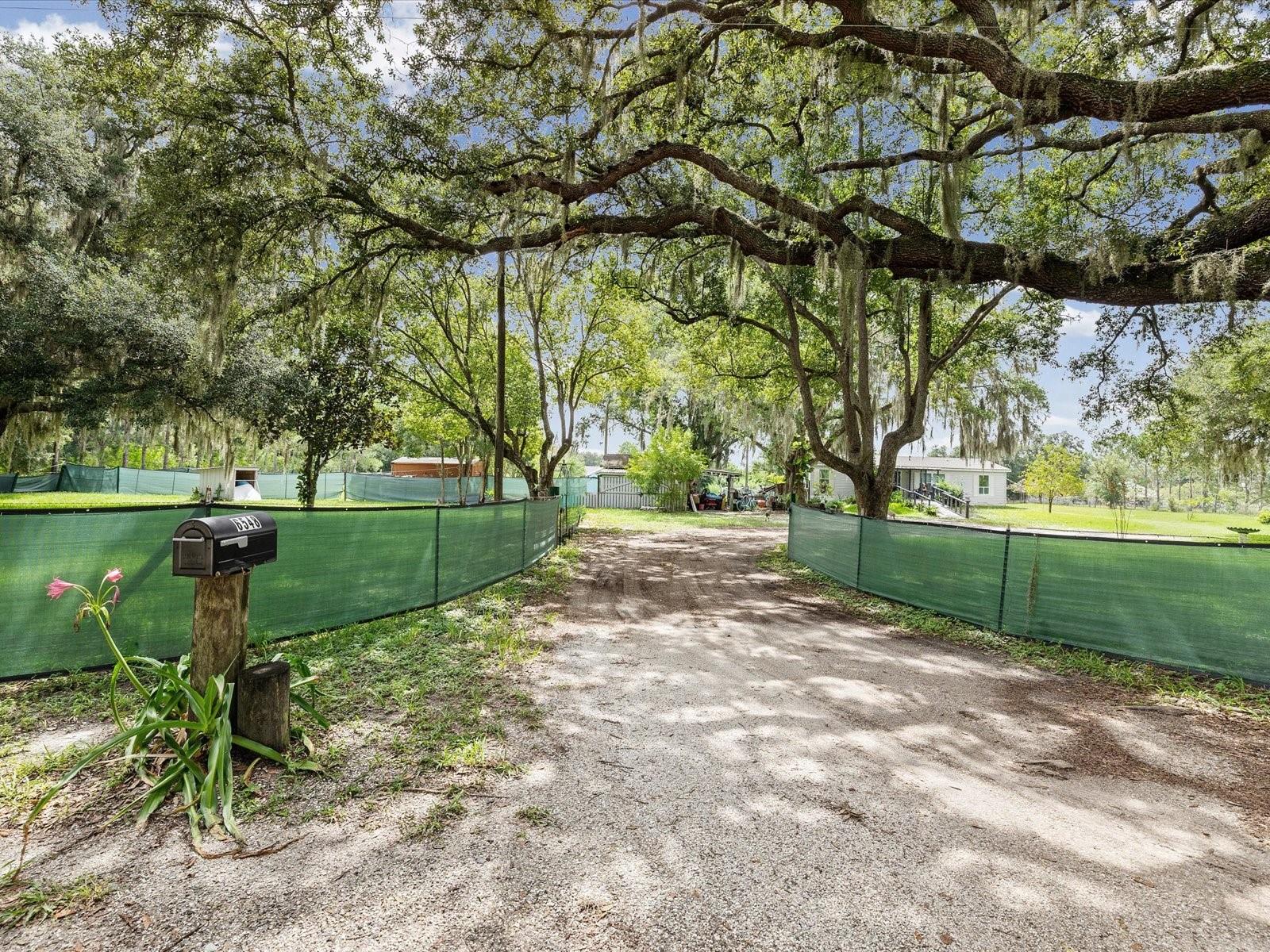 6548 LAKE IRENE DR, LAND O LAKES, FL — photo 21