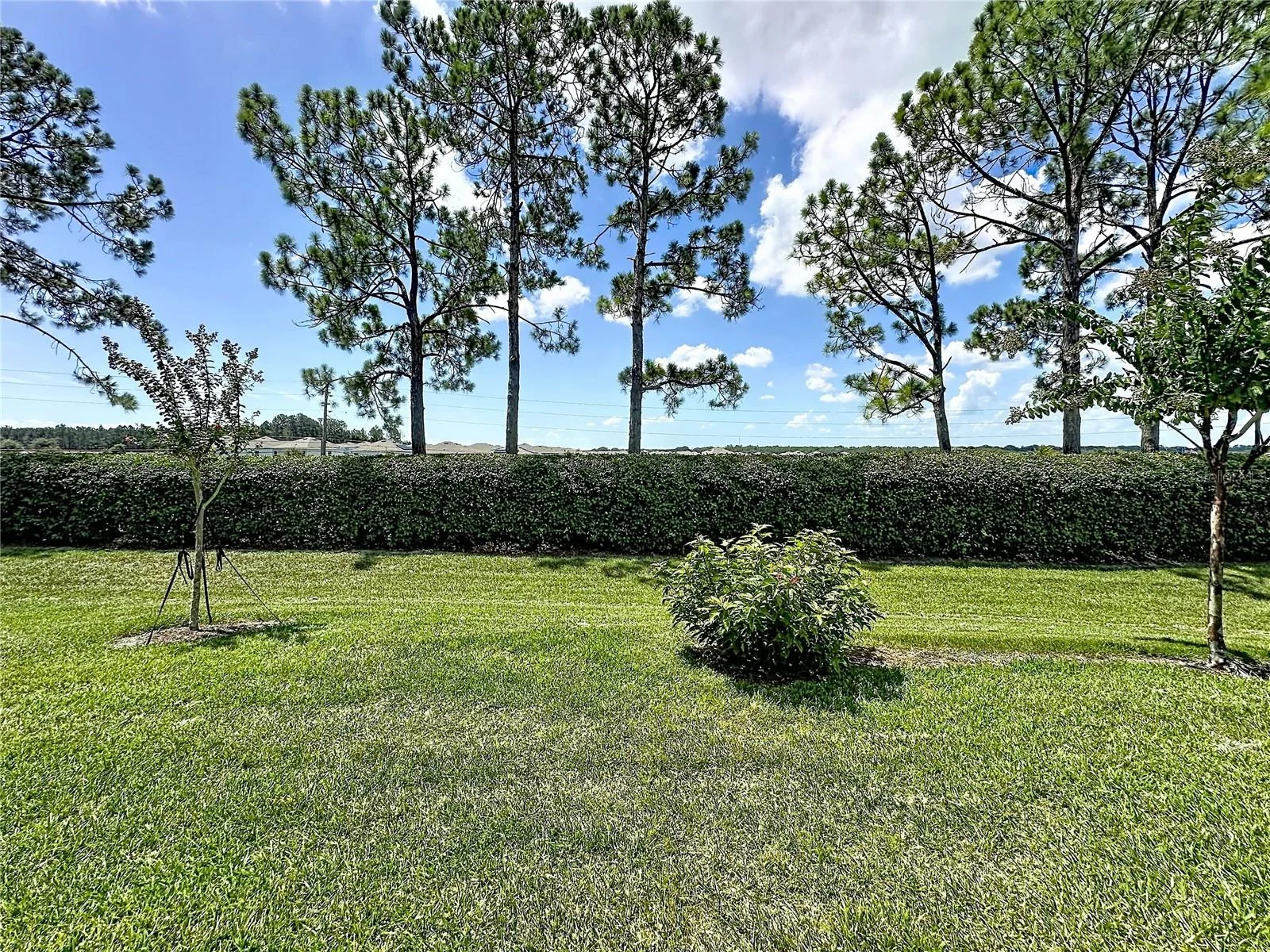 4223 KINGSLEY ST, CLERMONT, FL — photo 41