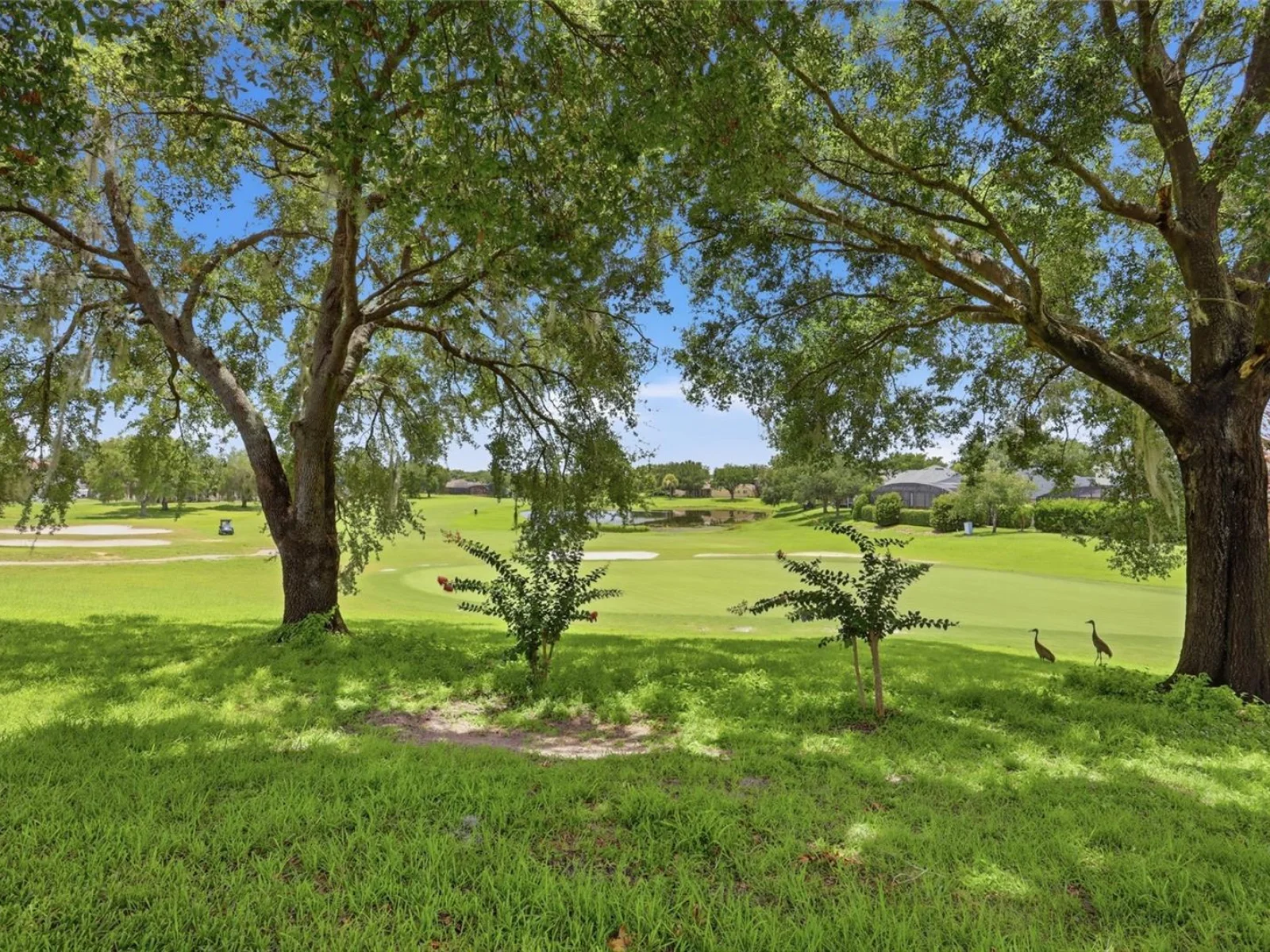 3910 LIBERTY HILL DR, CLERMONT, FL — photo 46
