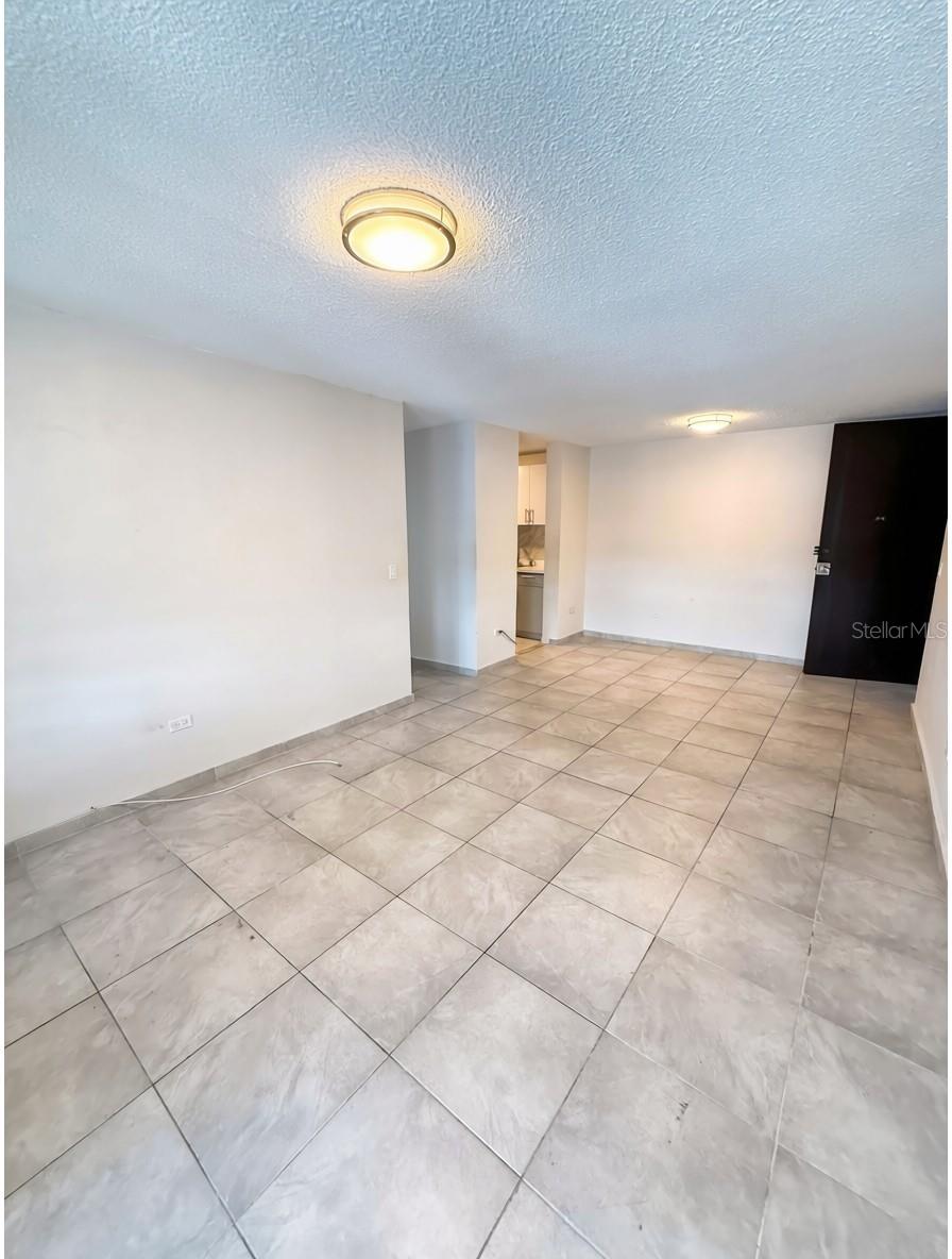 3 CALLE HORTENSIA #17E, SAN JUAN, PR — photo 4