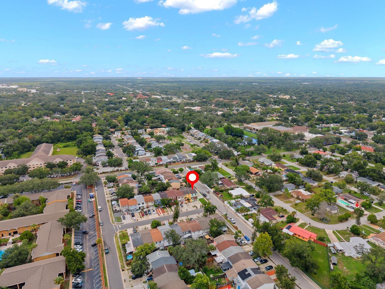 5220 BLANE DR, TEMPLE TERRACE, FL — photo 5