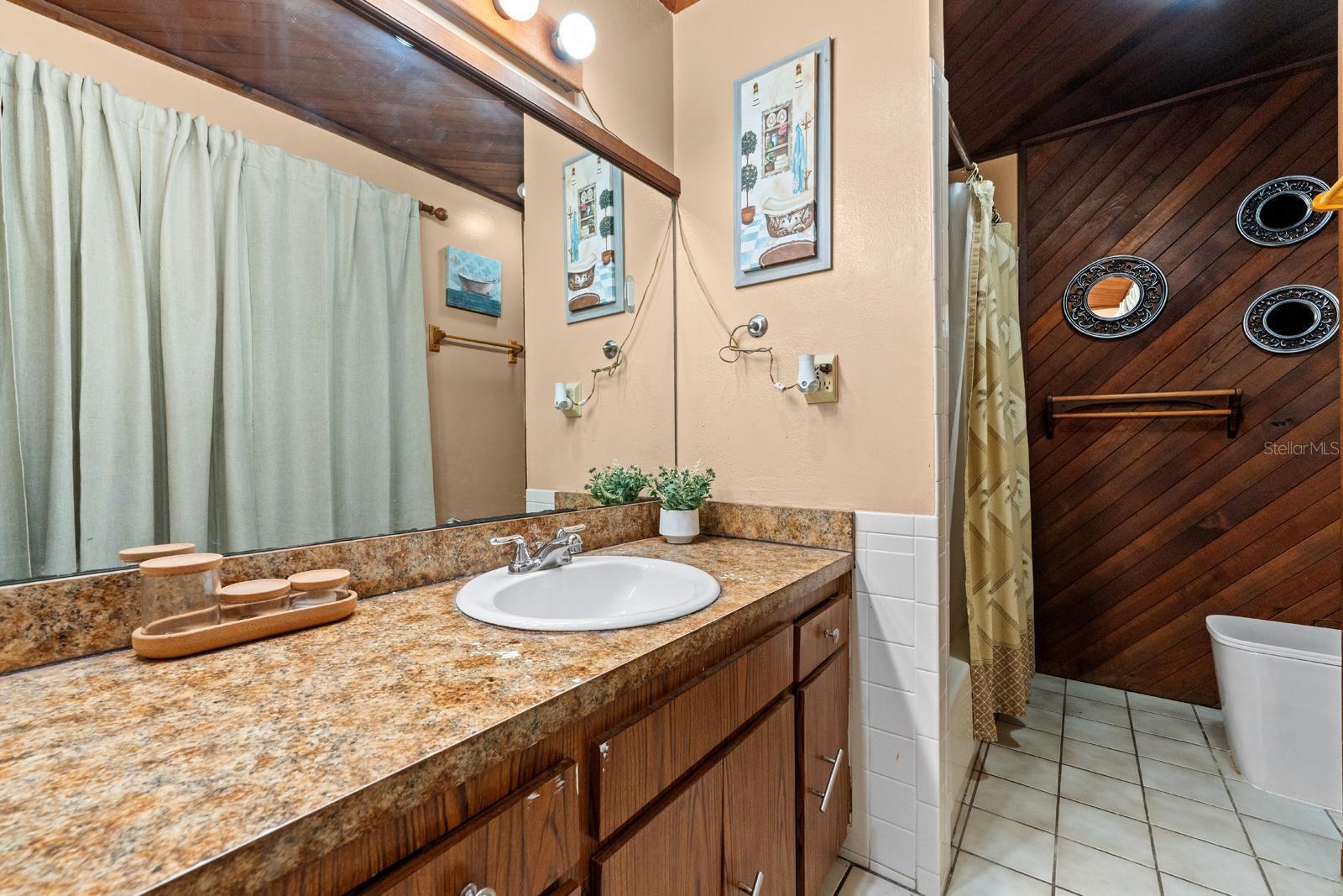 5220 BLANE DR, TEMPLE TERRACE, FL — photo 17