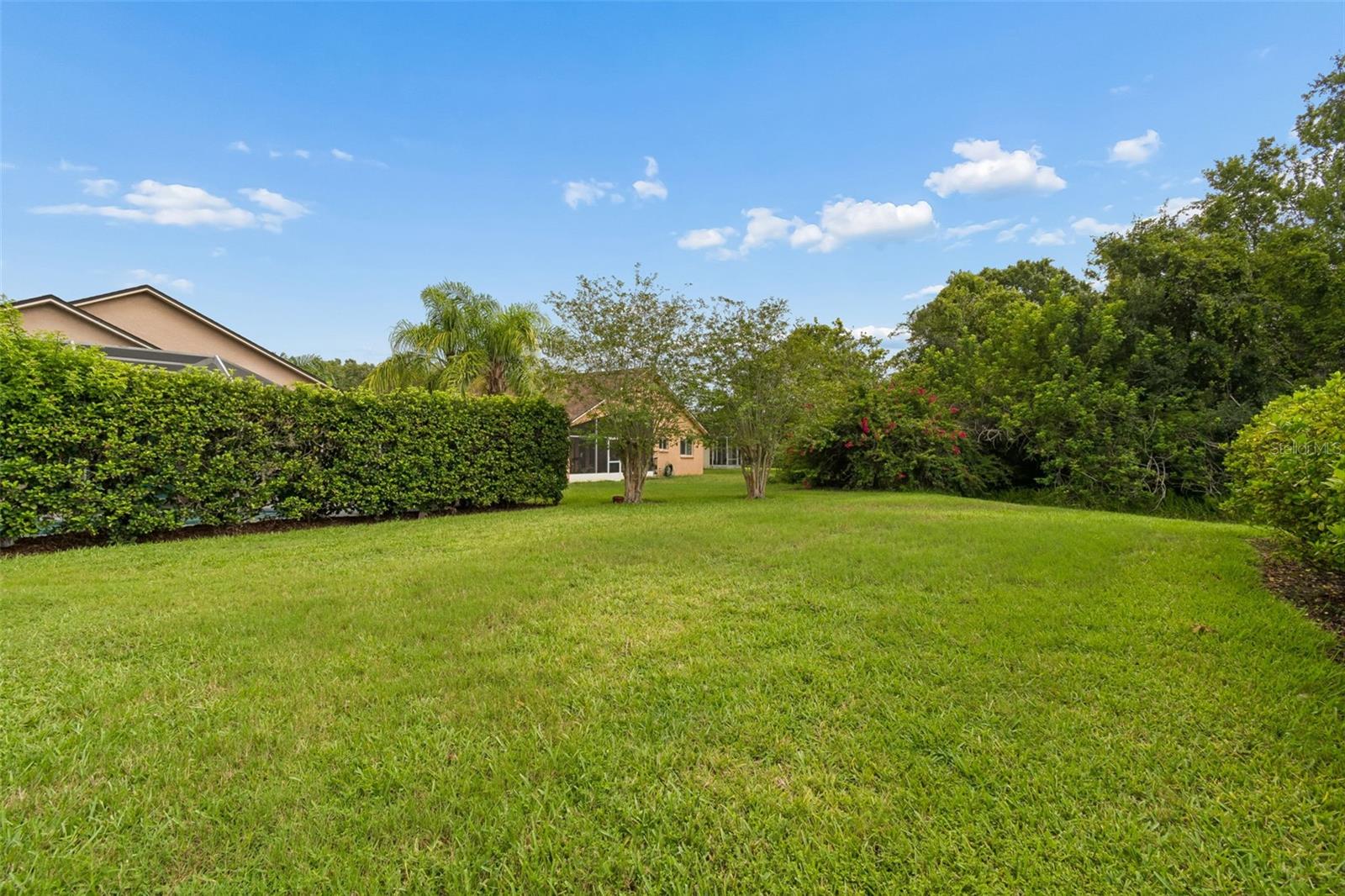 19029 CHEMILLE DR, LUTZ, FL — photo 46