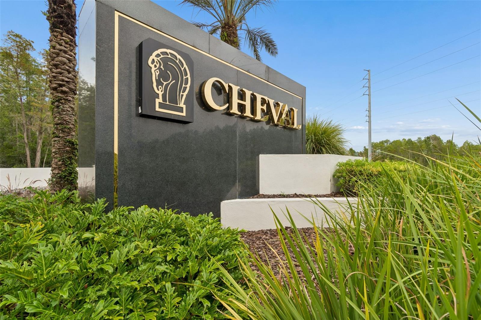 19029 CHEMILLE DR, LUTZ, FL — photo 48