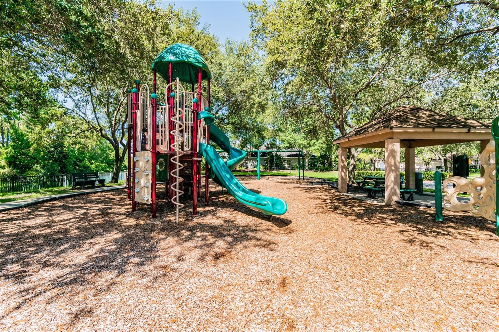 19029 CHEMILLE DR, LUTZ, FL — photo 53