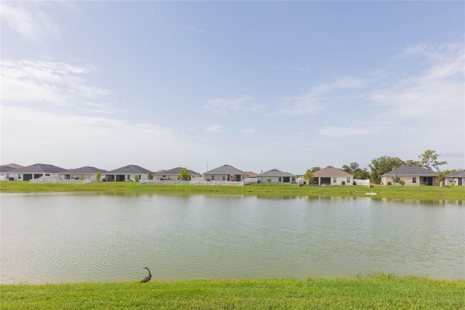 35171 CRESCENT CREEK DR, ZEPHYRHILLS, FL — photo 39