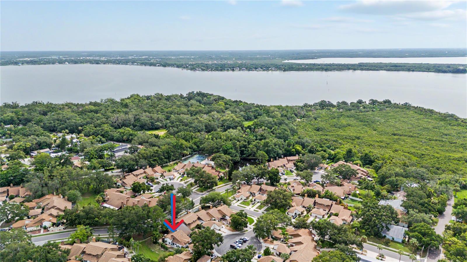 207 LIGHTHOUSE CT, SAFETY HARBOR, FL — photo 2
