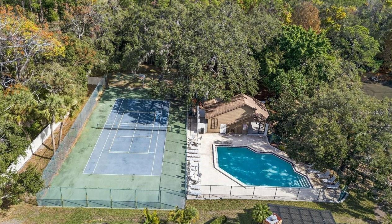 207 LIGHTHOUSE CT, SAFETY HARBOR, FL — photo 33