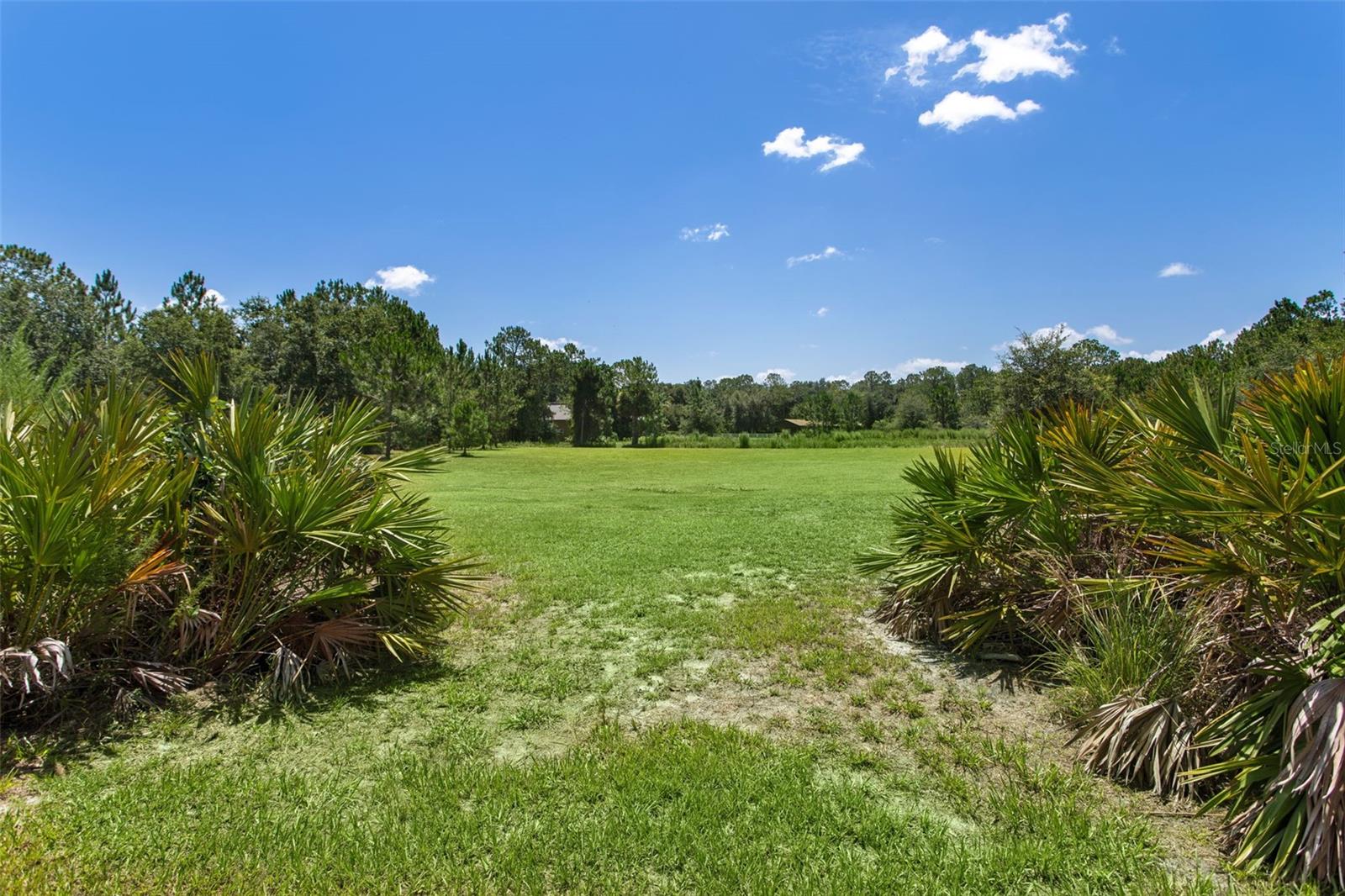 8408 WOODLEAF BLVD, WESLEY CHAPEL, FL — photo 48