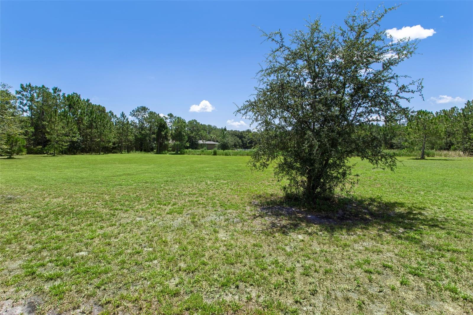 8408 WOODLEAF BLVD, WESLEY CHAPEL, FL — photo 50