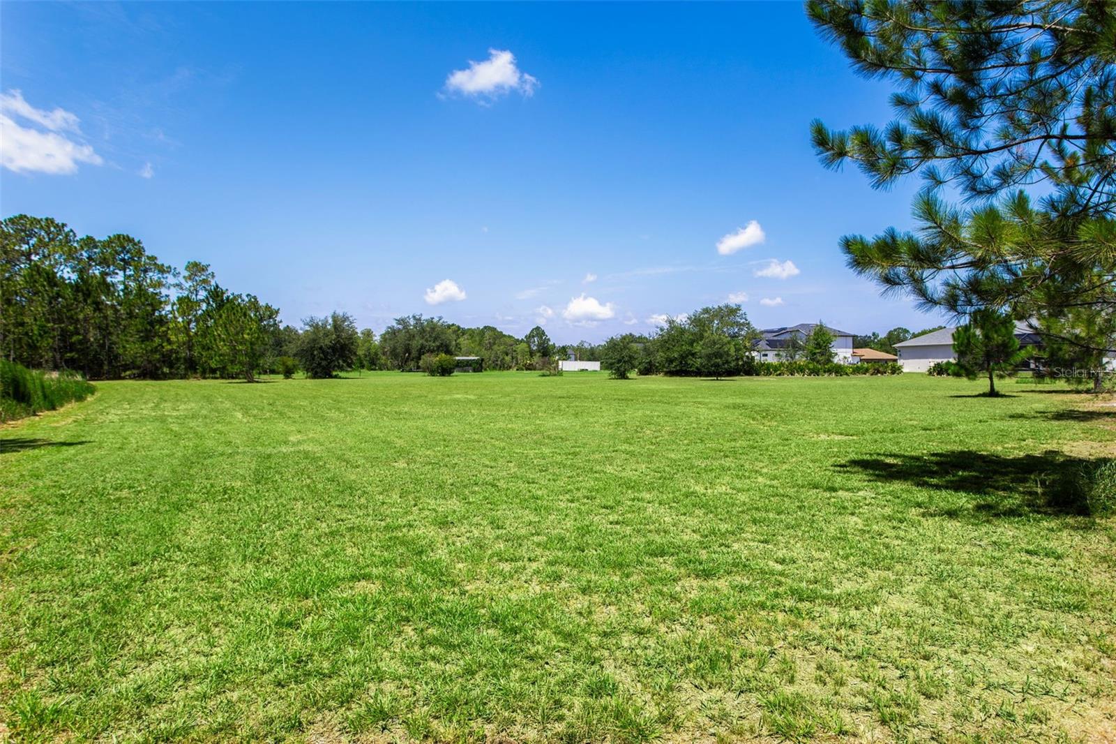 8408 WOODLEAF BLVD, WESLEY CHAPEL, FL — photo 52