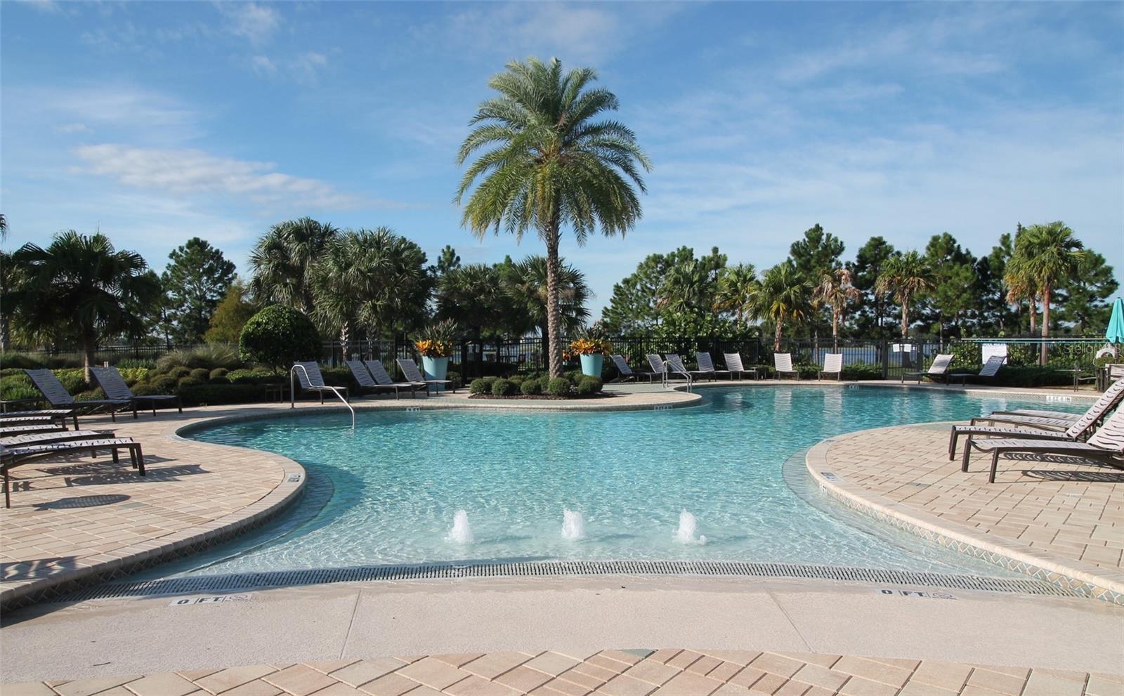 11031 JACKSON CV, WINTER GARDEN, FL — photo 52