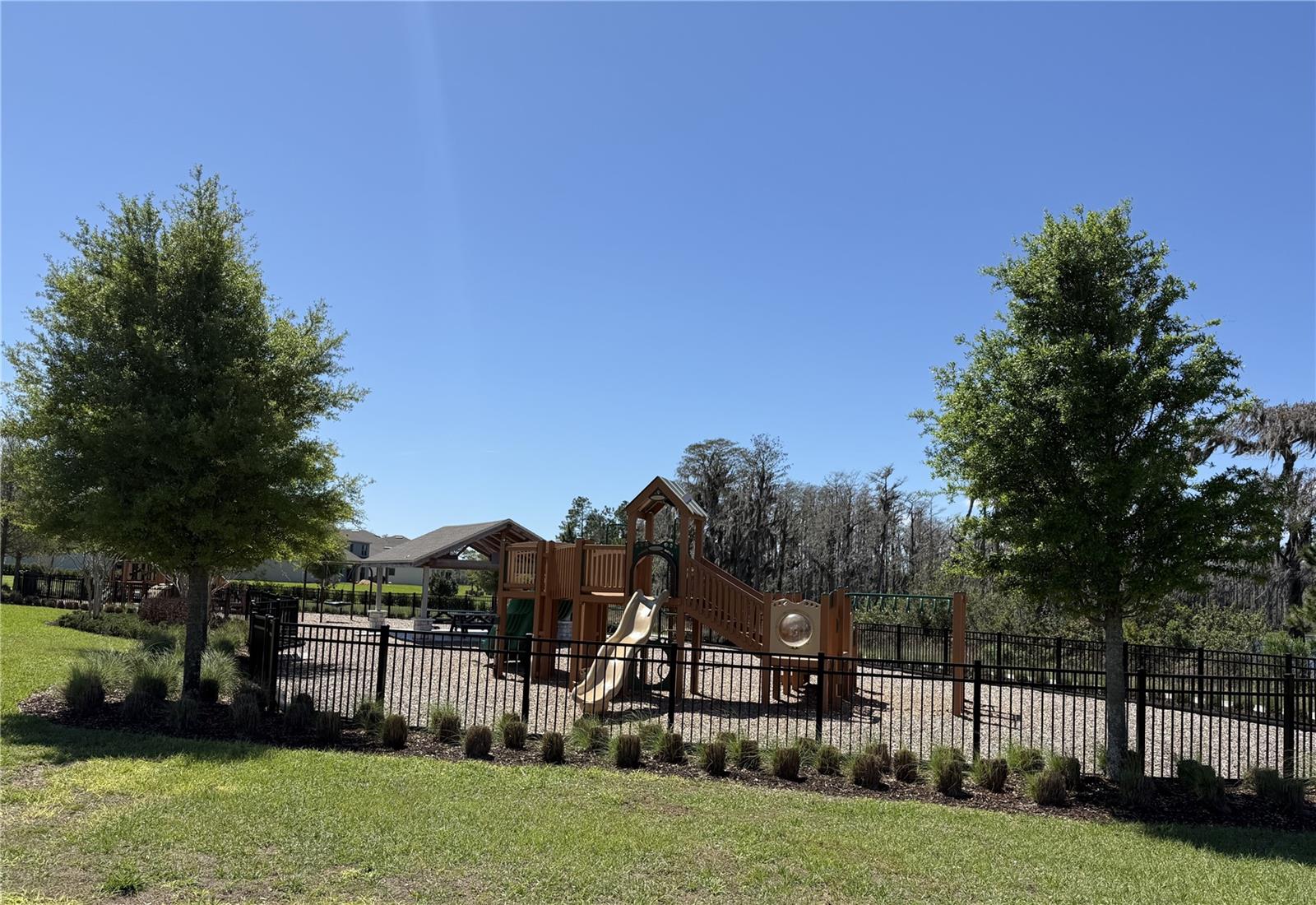 11031 JACKSON CV, WINTER GARDEN, FL — photo 69