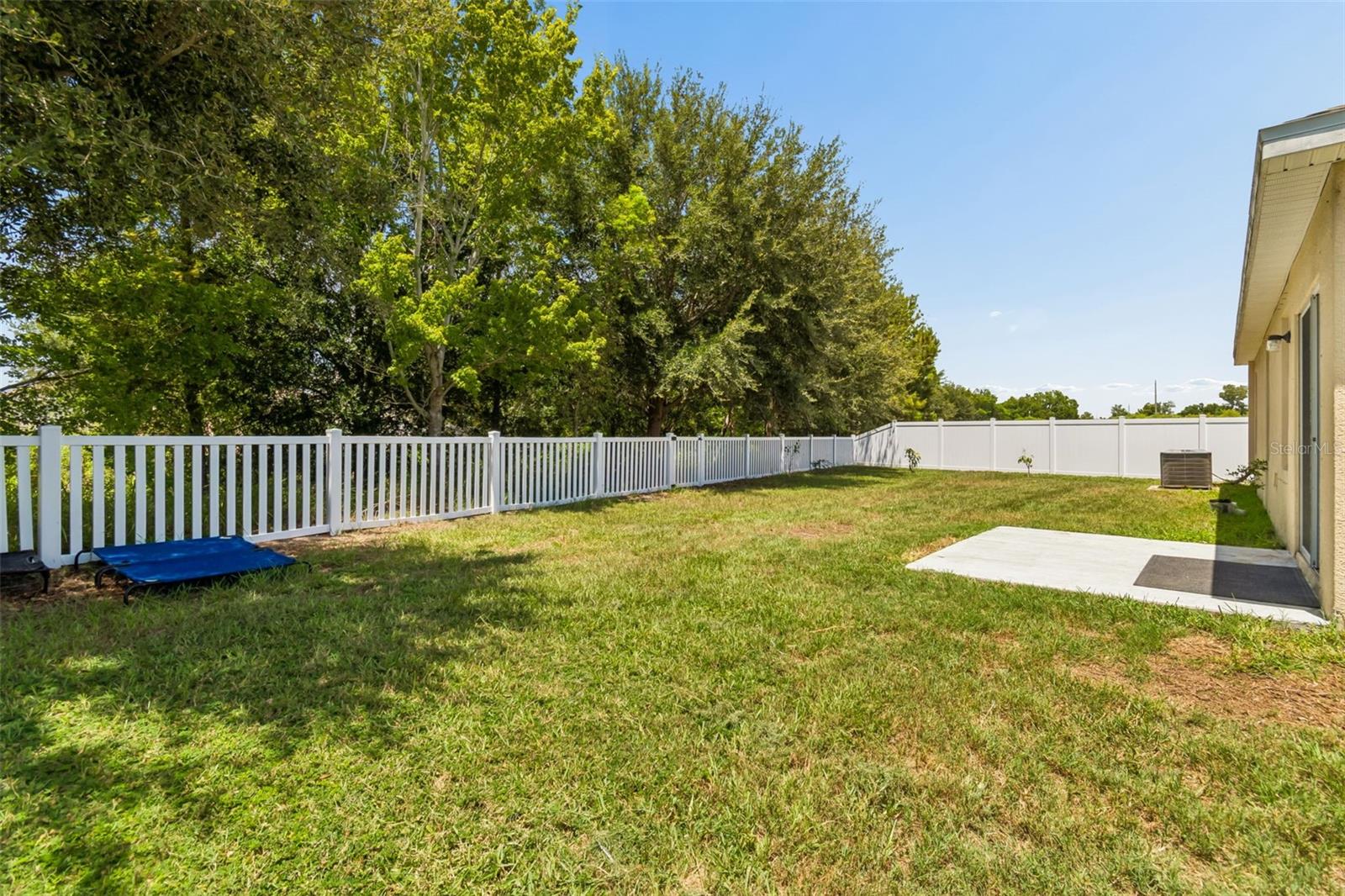 11910 LITTLE VIOLET CIR, RIVERVIEW, FL — photo 41